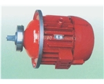 ZD1型錐形轉(zhuǎn)子制動三相異步電動機